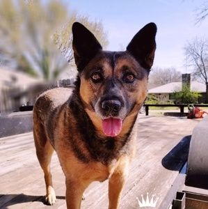 Meet your Posher, Tiffanie